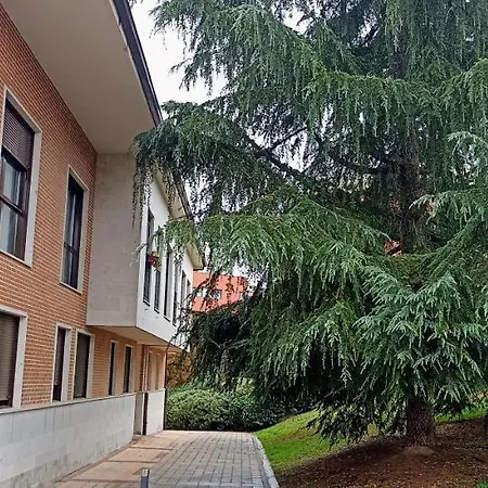 Apartment Go- La Ermita -parking Gratuito *